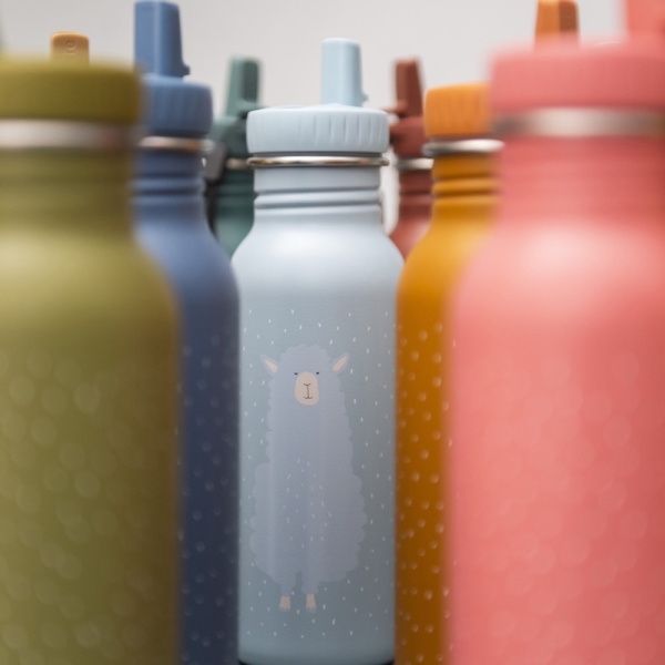 Drinking bottle 500ml "Mr. Alpaca"