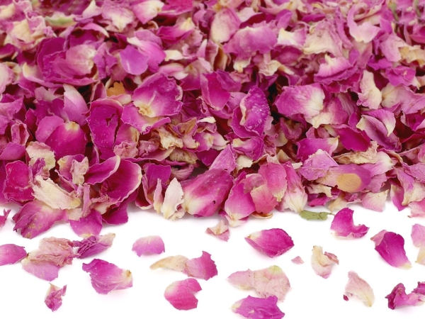 Rose petals purple