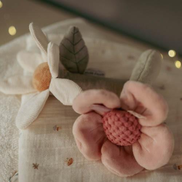 Rattle Flower