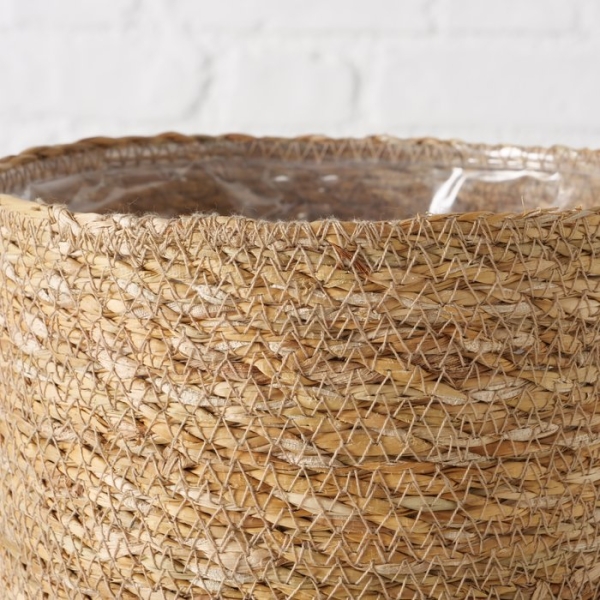 Seaweed planter in 3 sizes