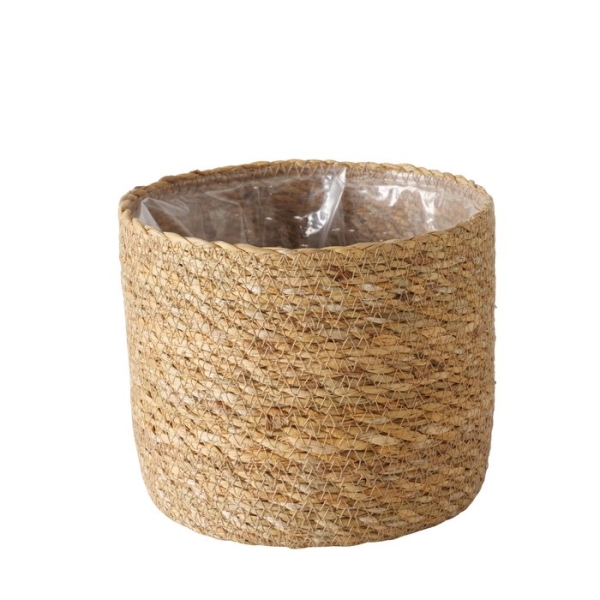 Seaweed planter in 3 sizes