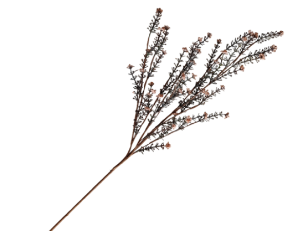 Wildblume, Seidenblume