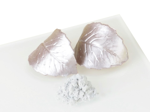 Silver Powder Glossy 10g