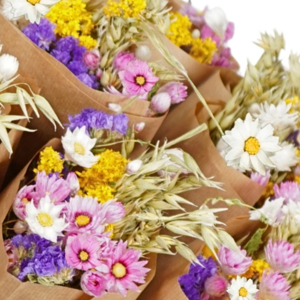 Trockenblumenstrauß Niederländischer Charme – Farbenfrohes Bouquet im Markt-Stil (50 cm)