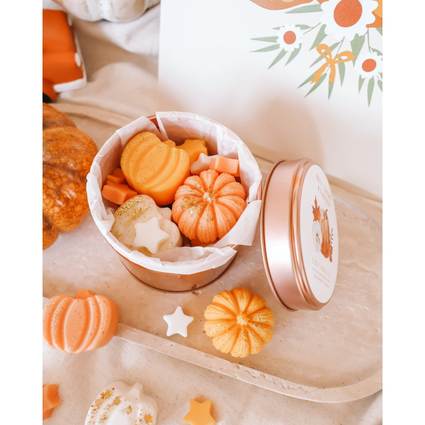 Wax Melts, Duftwachs "Hey there Pumpkin"