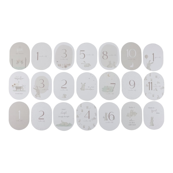 Milestone Cards "Baby Bunny"