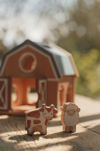 Shape Sorting Game Farm