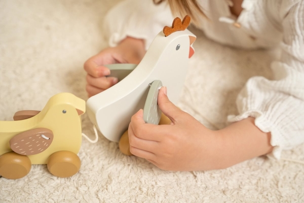 Rear-toting animals "chickens" Little Farm