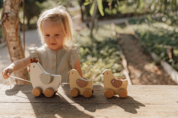 Rear-toting animals "chickens" Little Farm