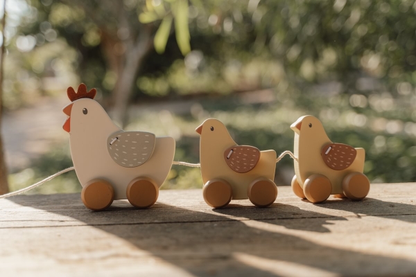 Rear-toting animals "chickens" Little Farm