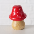 Glücksbringer Schwammerl, Pilz
